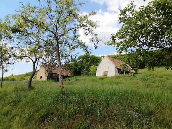 Monostorapáti képe