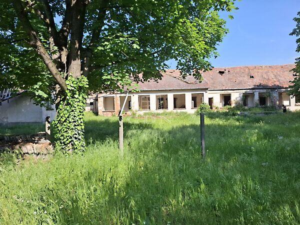 Nyár, Ráckeve képe