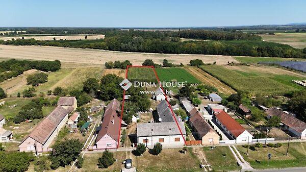 Kossuth, Kémes képe