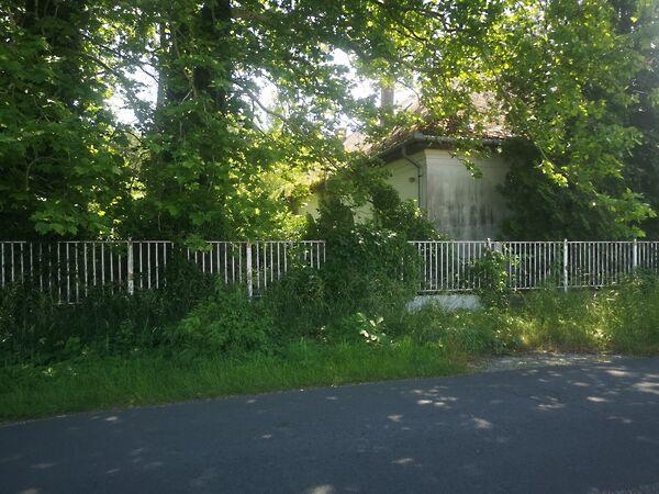 Balatonfenyves képe