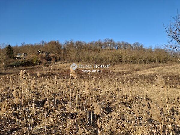 Széchenyi, Dág képe