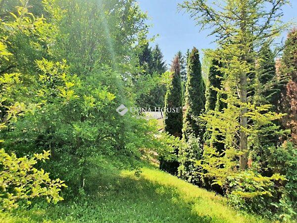 Remeteszőlős képe