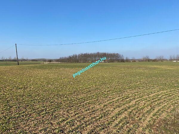 Dózsa György, Tiszaszentimre képe