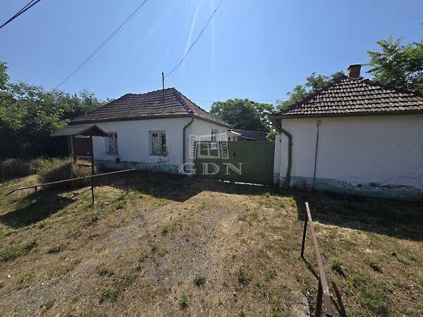 Kölcsey Ferenc, Madaras képe