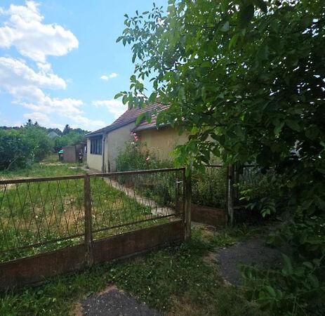 Petőfi Sándor, Lábod képe