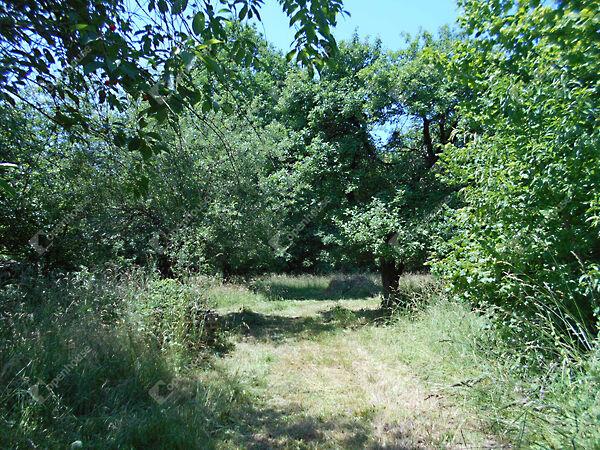 Kossuth, Hegyhátszentjakab képe