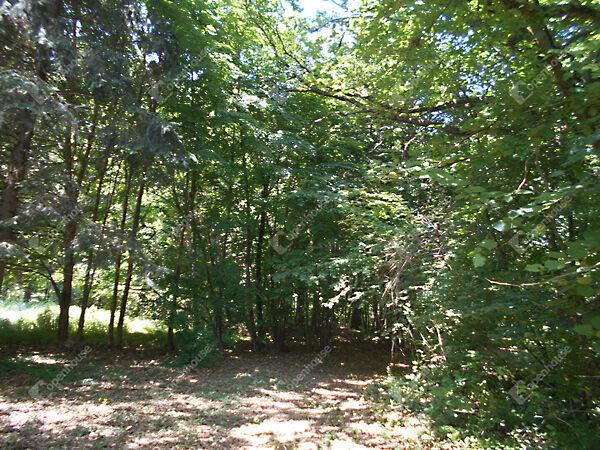 Kossuth, Hegyhátszentjakab képe