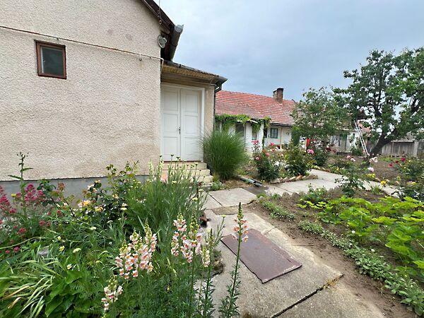 Petőfi, Dunaszekcső képe