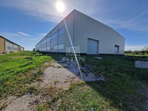 Kisapostag csarnok kedvező, Kisapostag képe