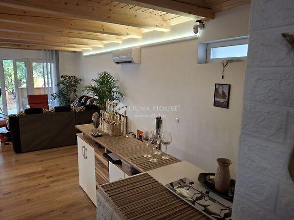 Kossuth Lajos, Mány képe