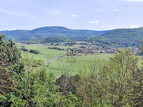 Dédestapolcsány képe