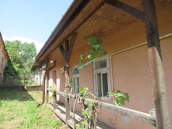 Kossuth  Lajos, Gönc képe