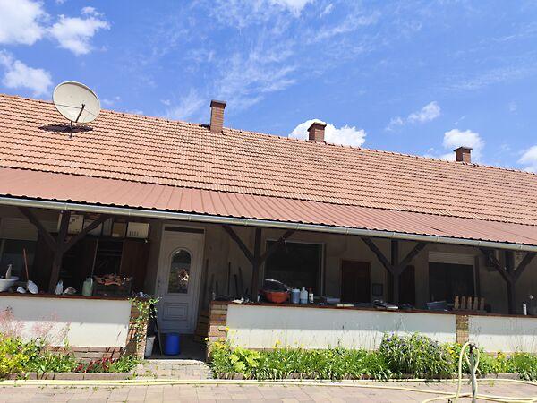 Égerfa, Ócsa képe