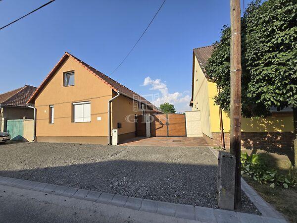 Székely Bertalan, Vaskút képe