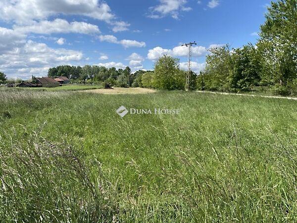 Szarvas, Bodonhely képe