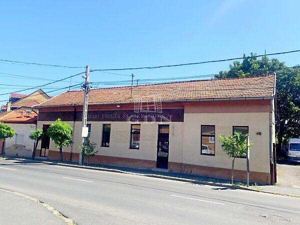 Esze Tamás, Sátoraljaújhely képe