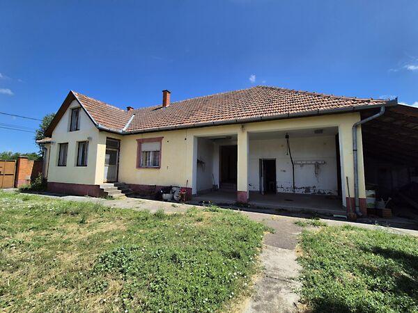 Bajai, Jánoshalma képe