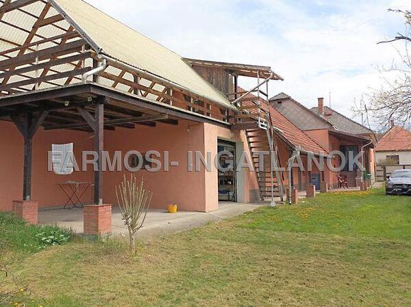 Kossuth Lajos, Sály képe