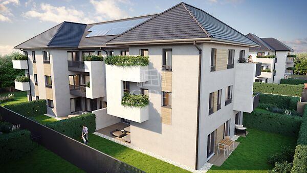 Barack, Budapest, XV. kerület képe