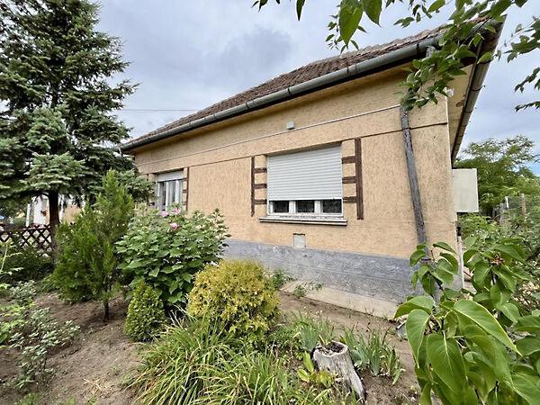 Szentmártonkáta képe