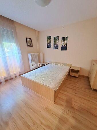 Kodály Zoltán, Pécs képe