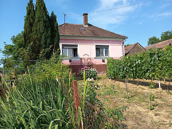 Felsőszenterzsébet képe