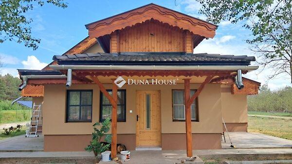 Ady Endre, Helvécia képe