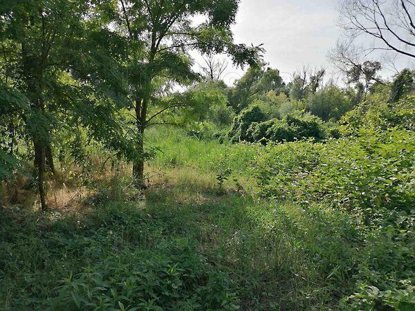 Szőlősgyörök képe