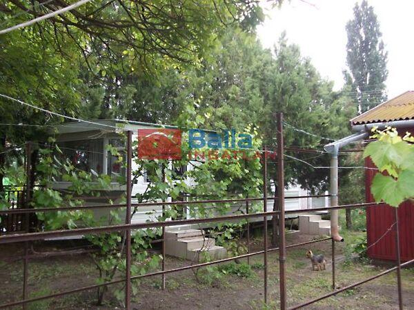 Akác, Tiszakécske képe