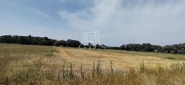 M5 Autópálya, Újlengyel képe