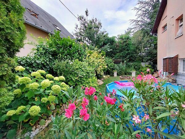 Szilágyi Erzsébet, Pomáz képe