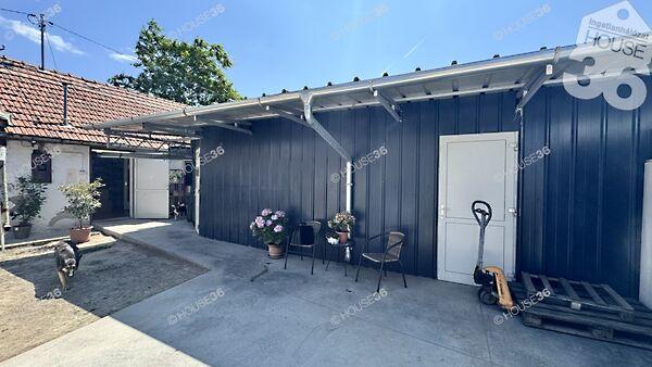 Erzsébet, Kecskemét képe