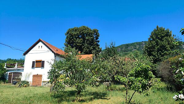 Badacsonytördemic képe