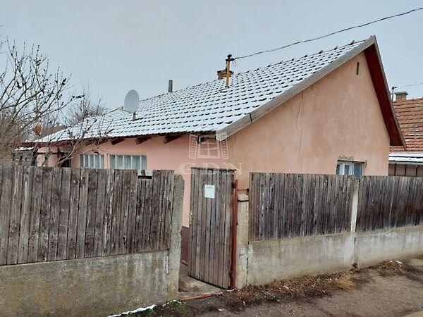 Semmelweis Ignác, Hajdúböszörmény képe