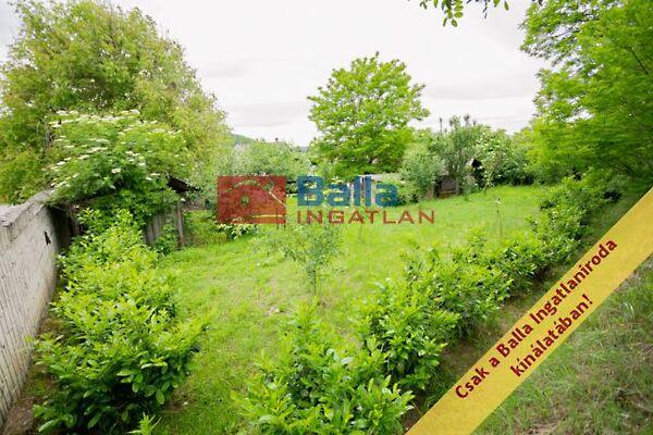 Deák Ferenc, Acsa képe