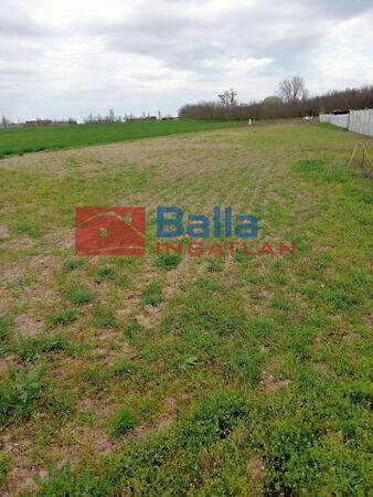 Béke utca közeli, Áporka képe