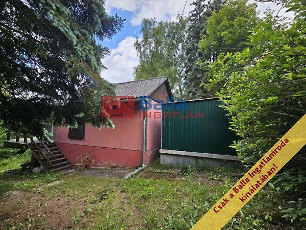 Szegfű utca, Zebegény képe