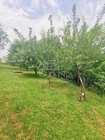 Fákkal ölelt építési, Lakhegy képe