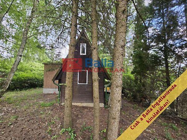 Szegfű utca, Zebegény képe