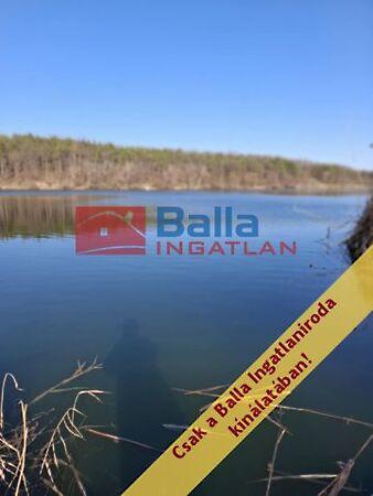 Gomba Horgásztó, Gomba képe