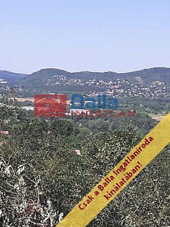 Zöldfa, Törökbálint képe