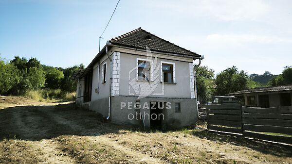 Kossuth Lajos, Kánó képe