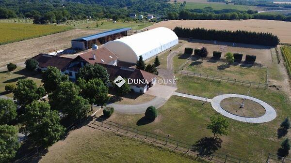 Kossuth Lajos, Pogány képe