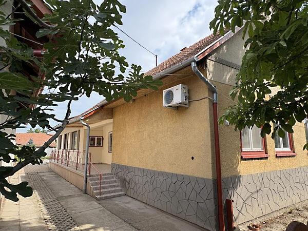 Török Bálint, Hódmezővásárhely képe