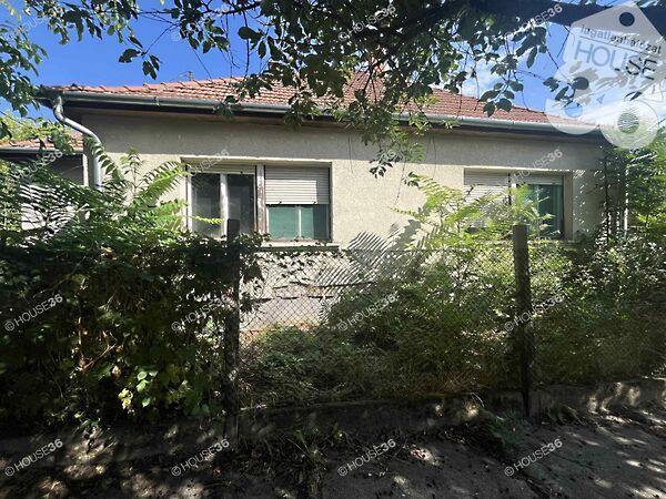 Szabadszállás képe