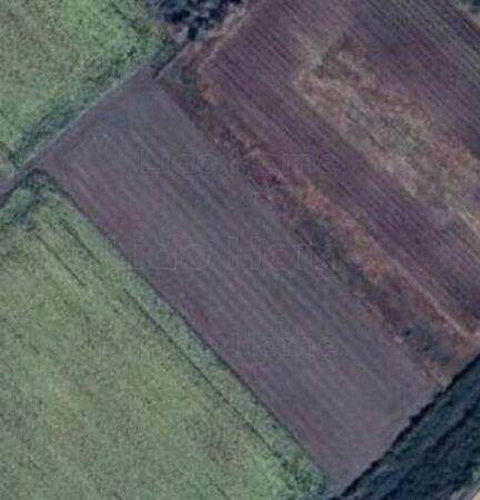 Balatonvilágos képe