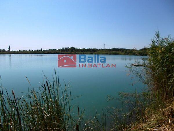 Robinson park, Délegyháza képe