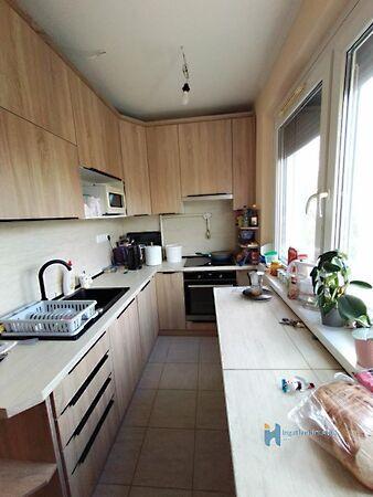 Liszt Ferenc, Százhalombatta képe