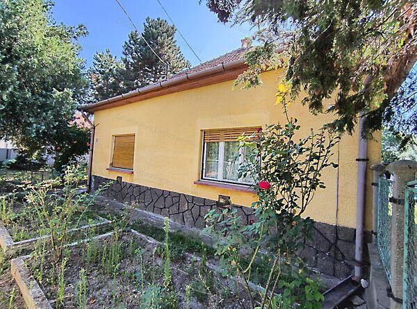 Törökszentmiklós képe