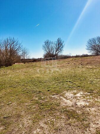 Dorogi, Budapest, X. kerület képe